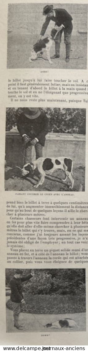 1898 CHASSE - LE DRESSAGE D'UN CHIEN DE CHASSE - LA VIE AU GRAND AIR