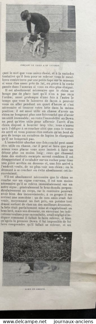 1898 CHASSE - LE DRESSAGE D'UN CHIEN DE CHASSE - LA VIE AU GRAND AIR