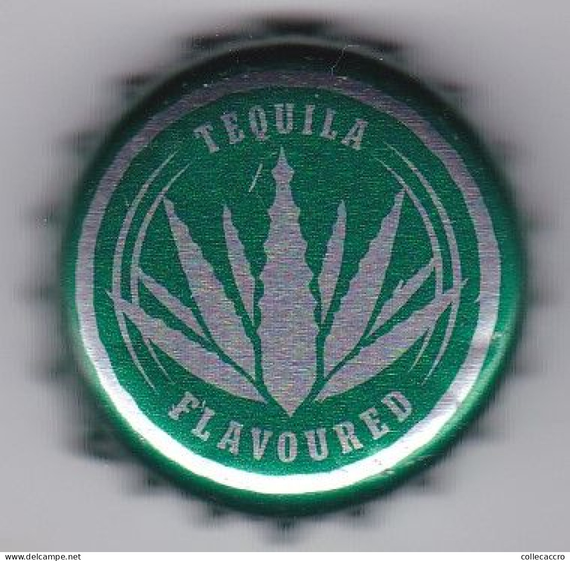 TEQUILA FLAVOURED - Beer