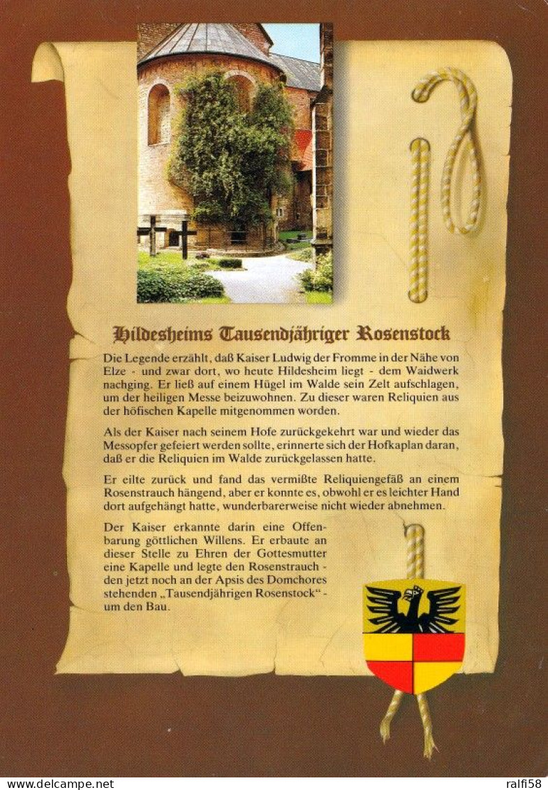 1 AK Germany / Niedersachsen * Chronikkarte - Hildesheims Tausendjähriger Rosenstock * - Hildesheim