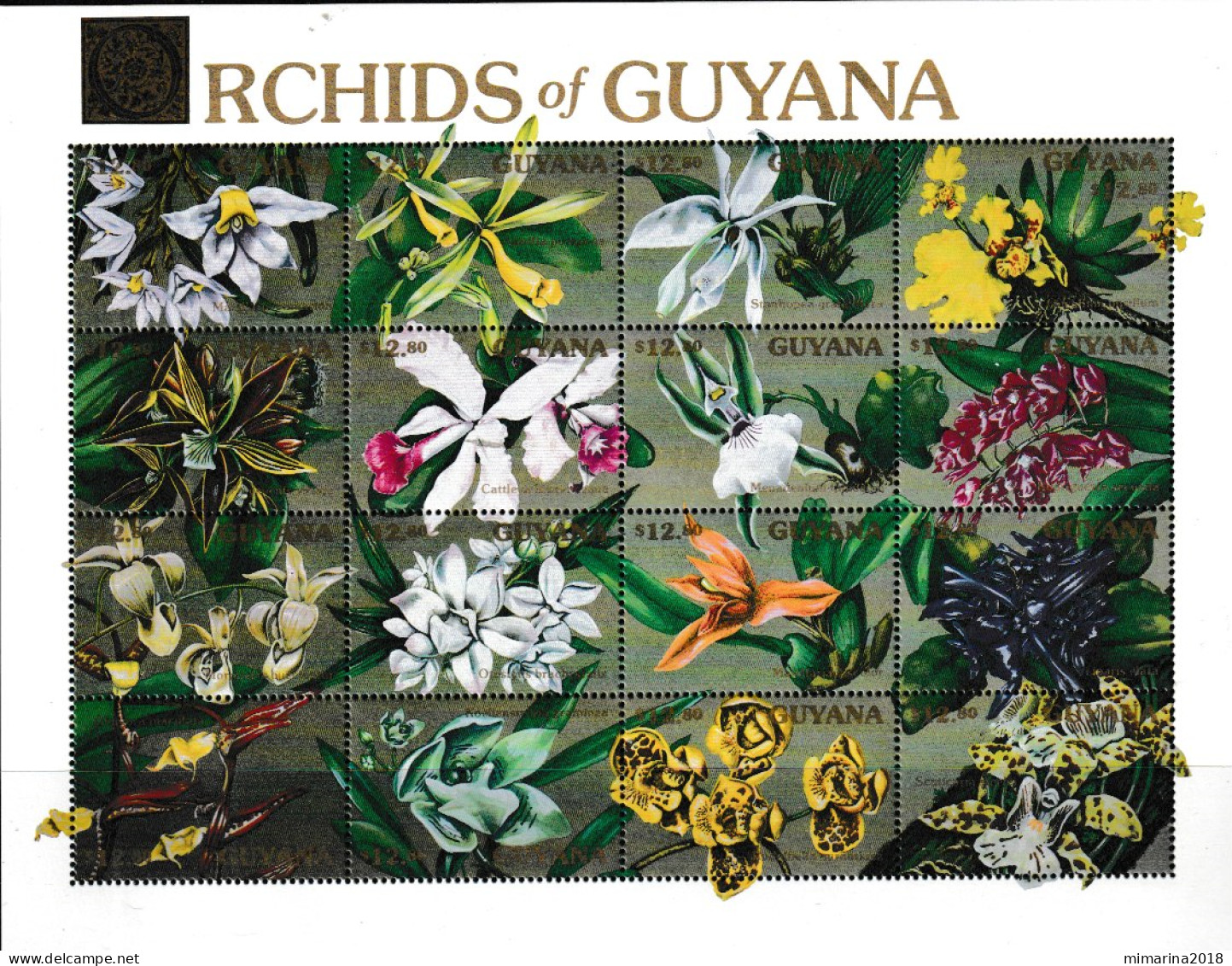 GUYANA  1991  MNH  "ORCHIDS" - Orchideeën