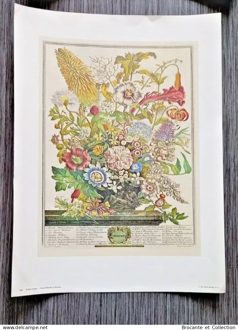 Gravures Florales du XIX siècle - Impression D'art Vintage Fleurs - 12 mois