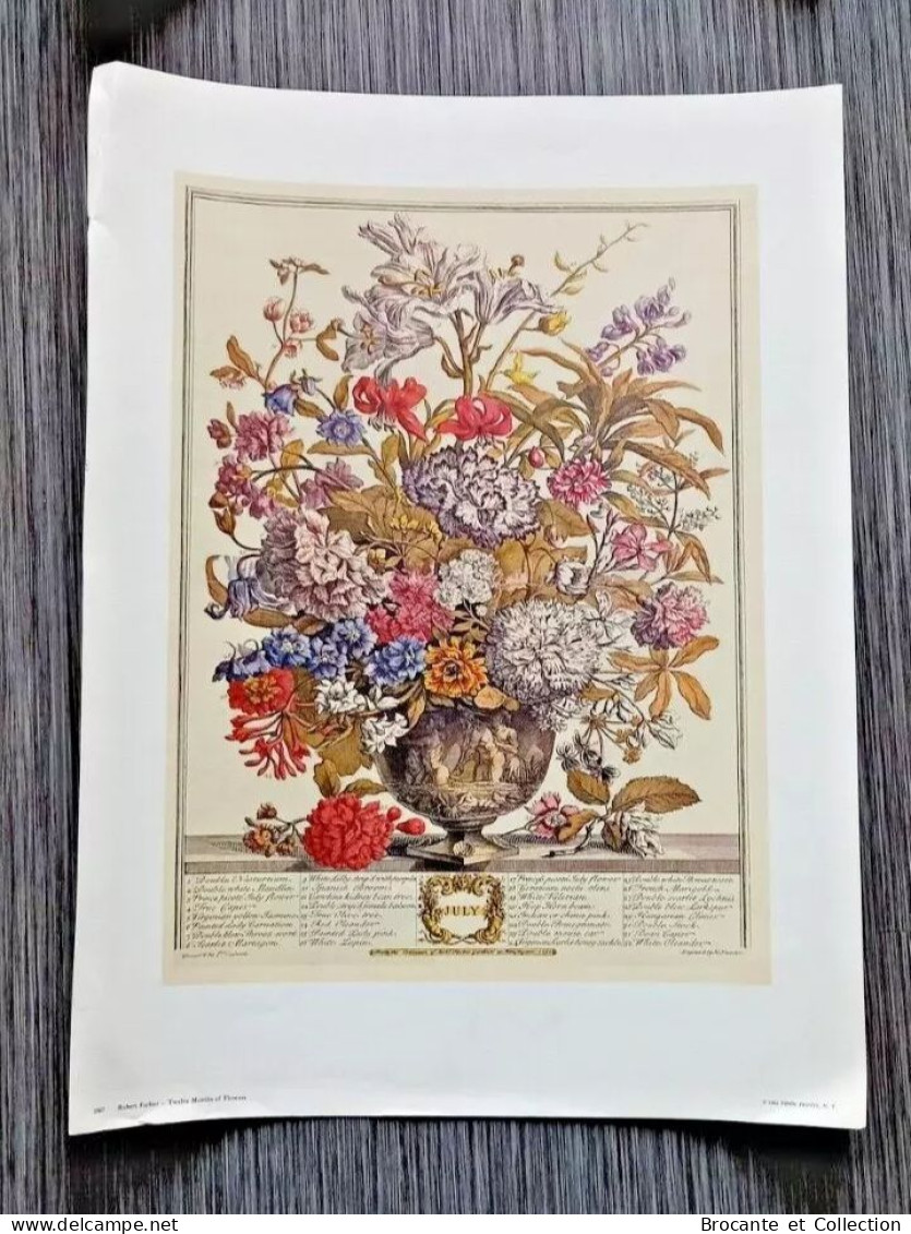 Gravures Florales du XIX siècle - Impression D'art Vintage Fleurs - 12 mois