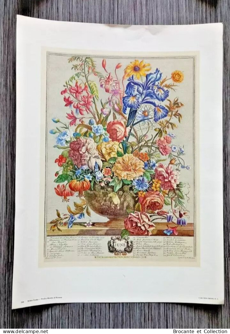 Gravures Florales du XIX siècle - Impression D'art Vintage Fleurs - 12 mois