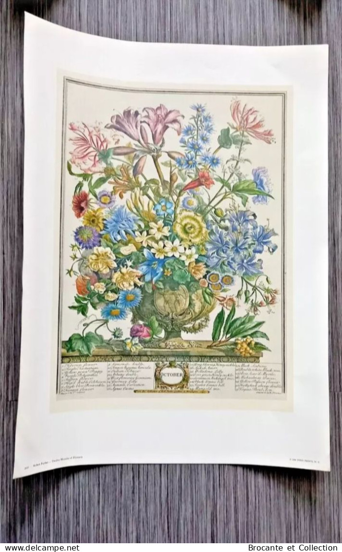 Gravures Florales du XIX siècle - Impression D'art Vintage Fleurs - 12 mois