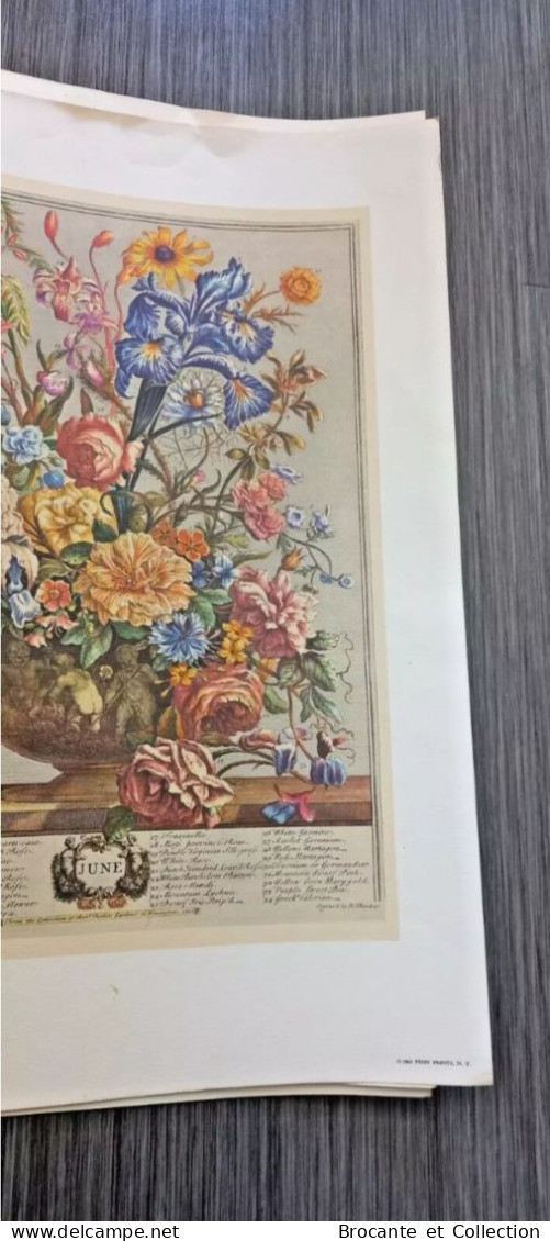 Gravures Florales du XIX siècle - Impression D'art Vintage Fleurs - 12 mois