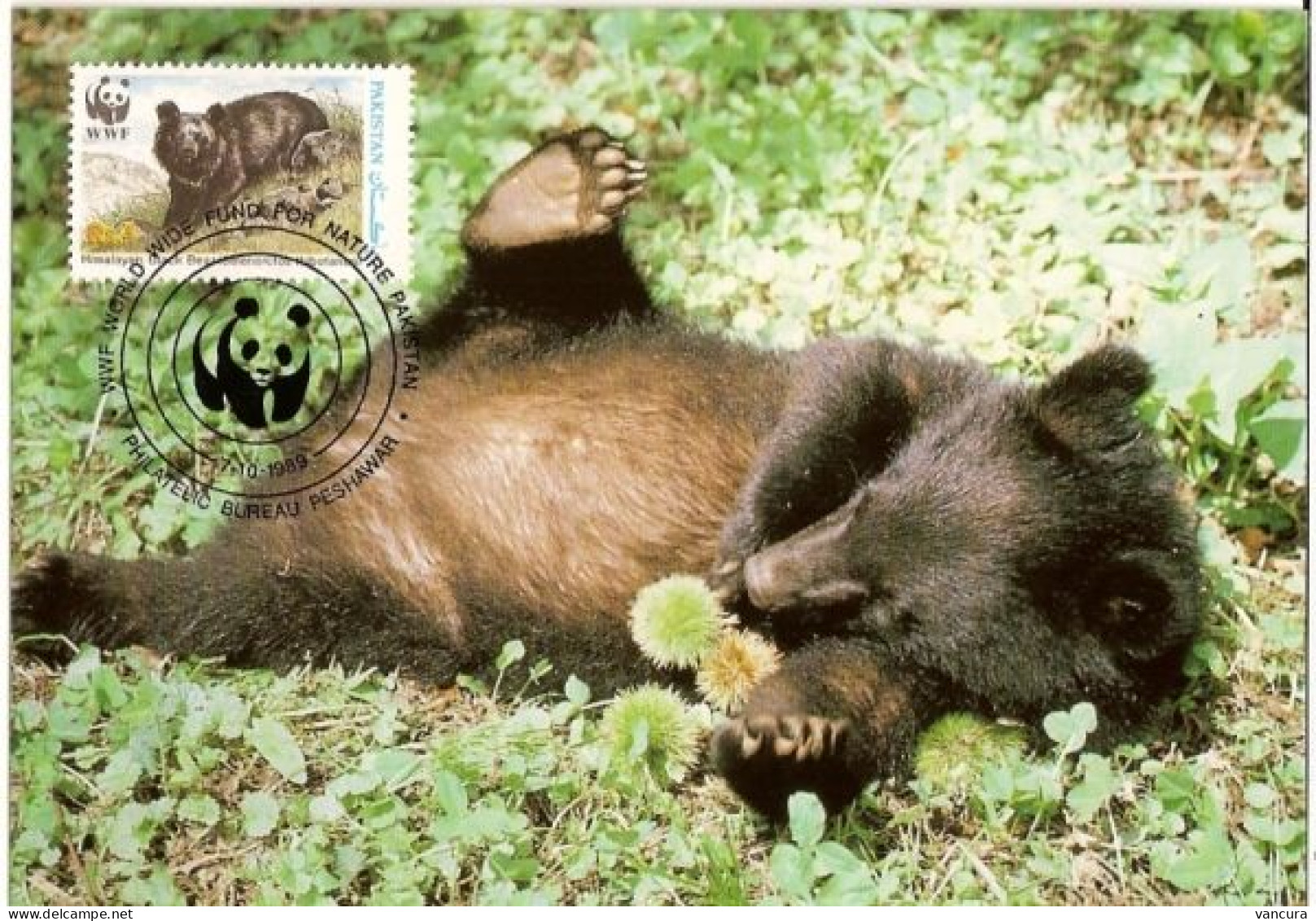 CM Pakistan/WWF Protected Bear 1989 - Osos