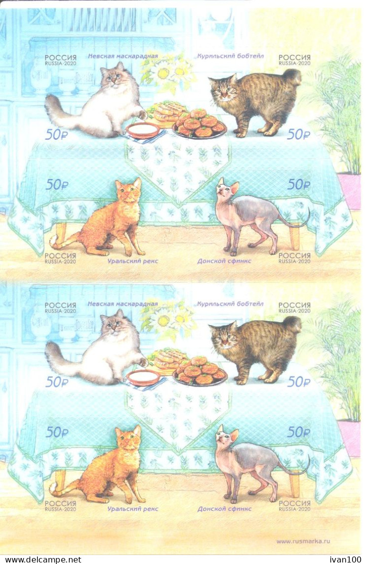 2020. Russia, Cats Breeds, Sheetlet, Mint/** - Ongebruikt