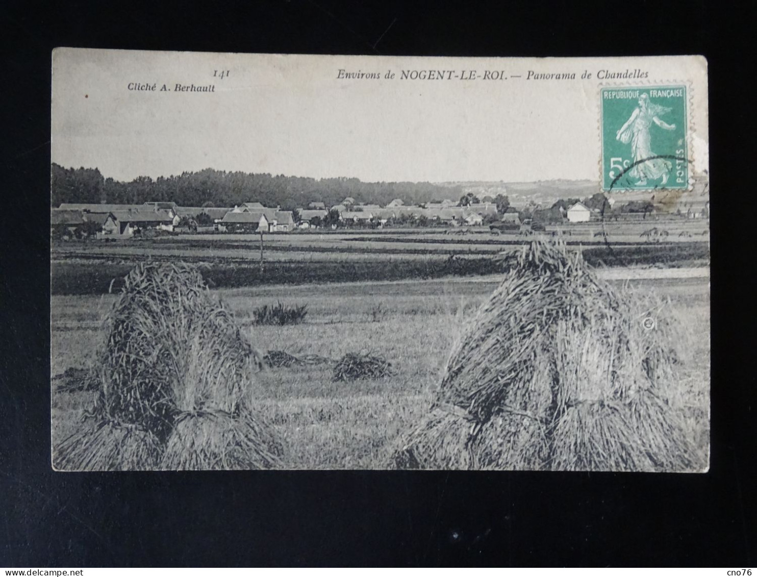 Environs De Nogent Le Roi, Panorama De Chandelles N° 141 - Nogent Le Roi