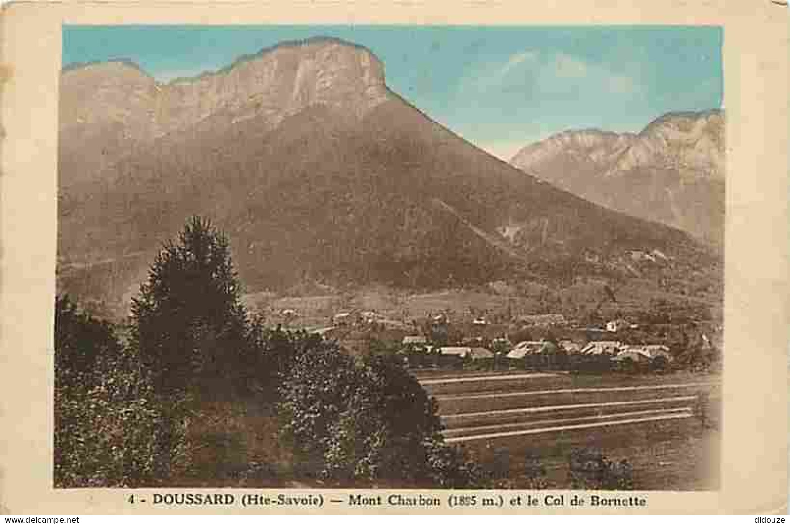 74 - Doussard - Mont Charbon (1895 M) Et Le Col De Bornette - CPA - Voir Scans Recto-Verso - Doussard