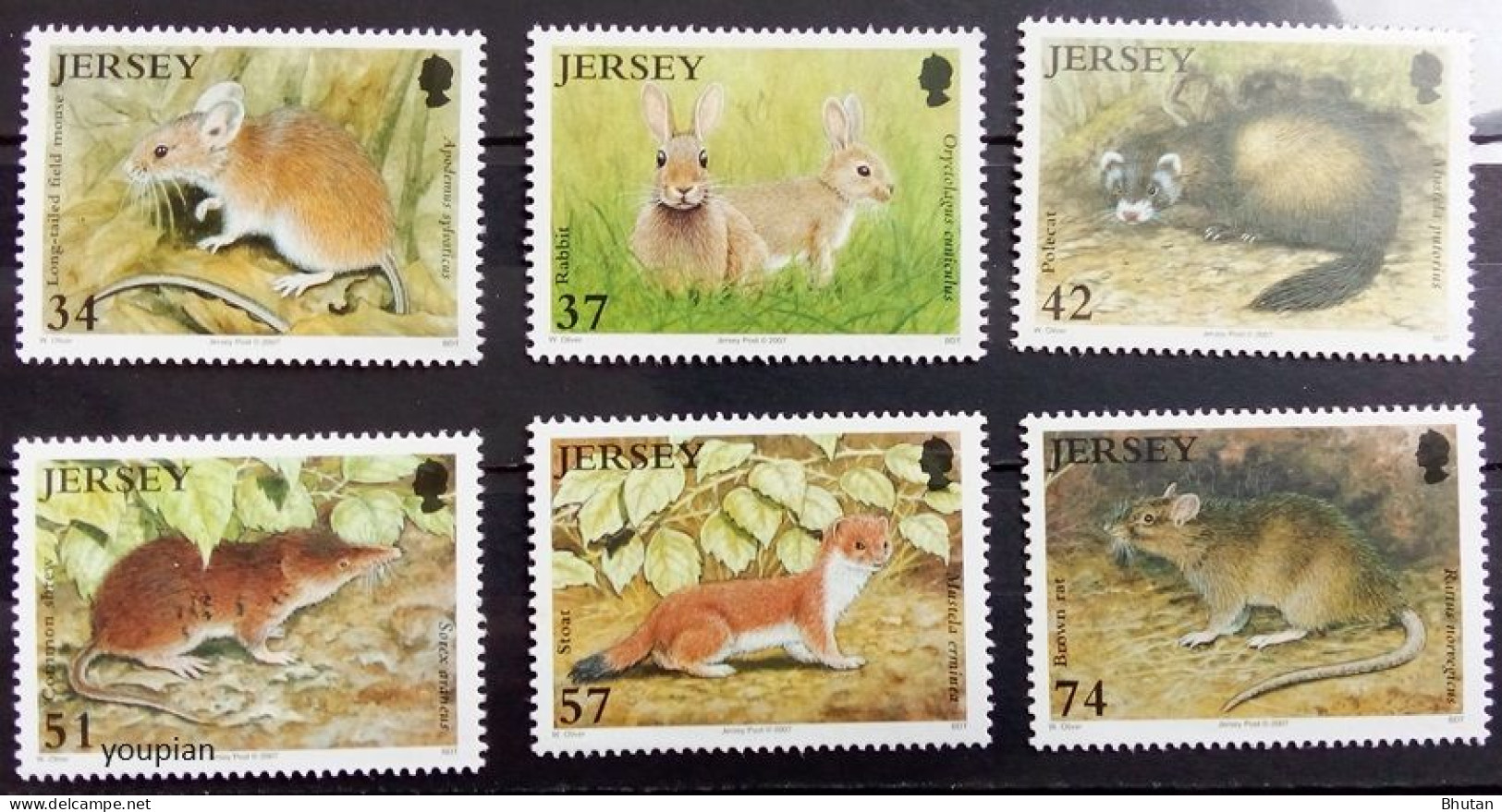 Jersey 2007, Mammals, MNH Stamps Set - Jersey