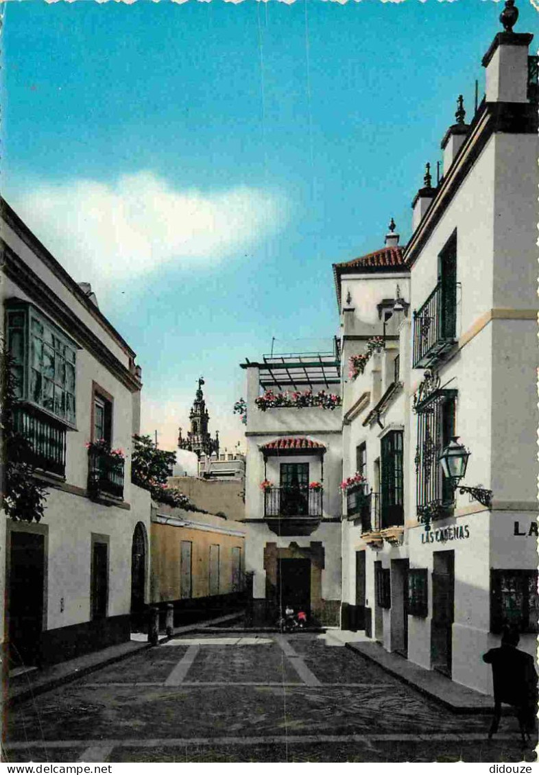 Espagne - Espana - Andalucia - Sevilla - Las Cadenas - Barrio De Santa Cruz - Quartier De Santa Cruz - Espana - Carte De - Sevilla