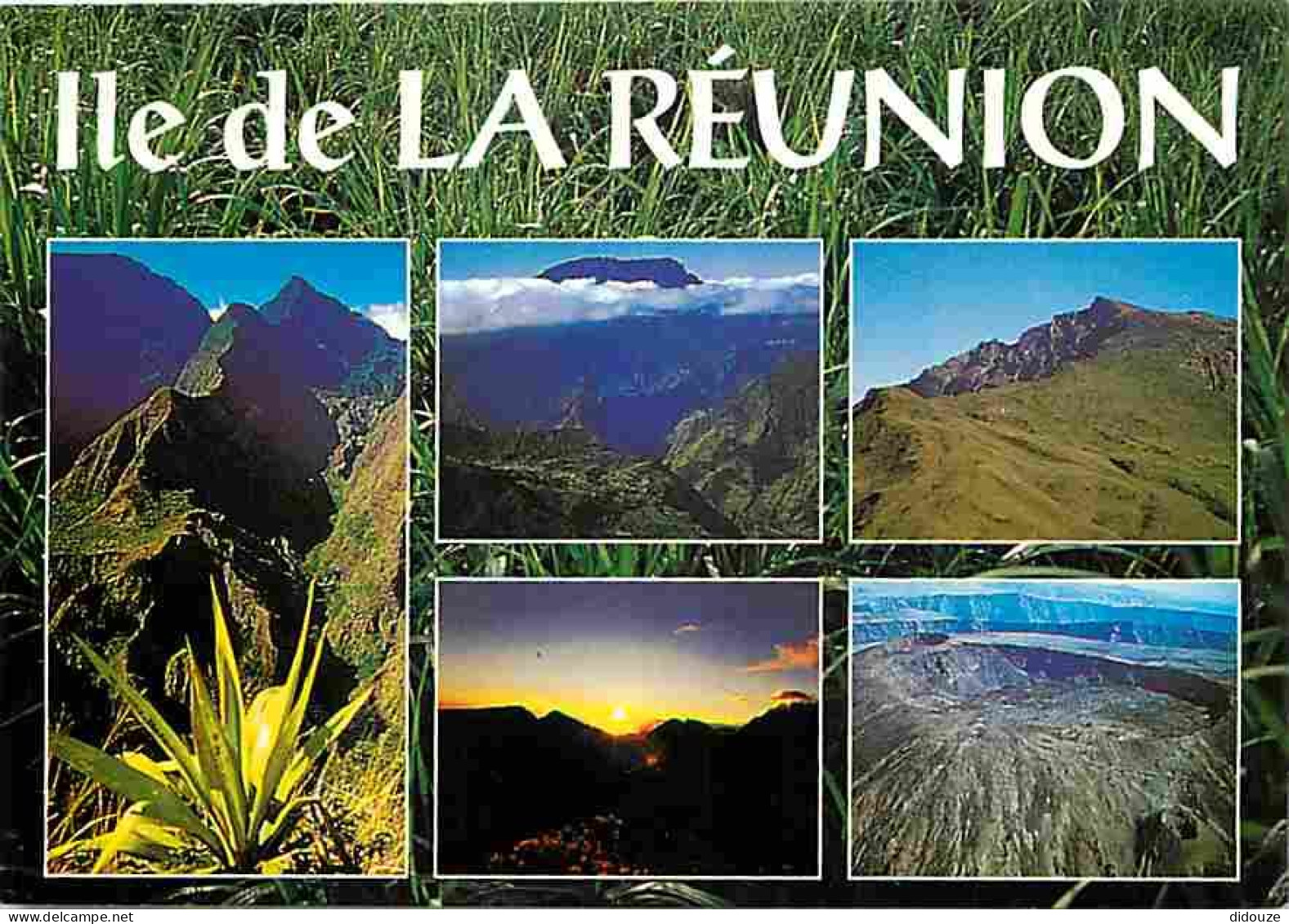 Ile De La Réunion - Les Différents Sommets - Multivues - CPM - Voir Scans Recto-Verso - Other & Unclassified