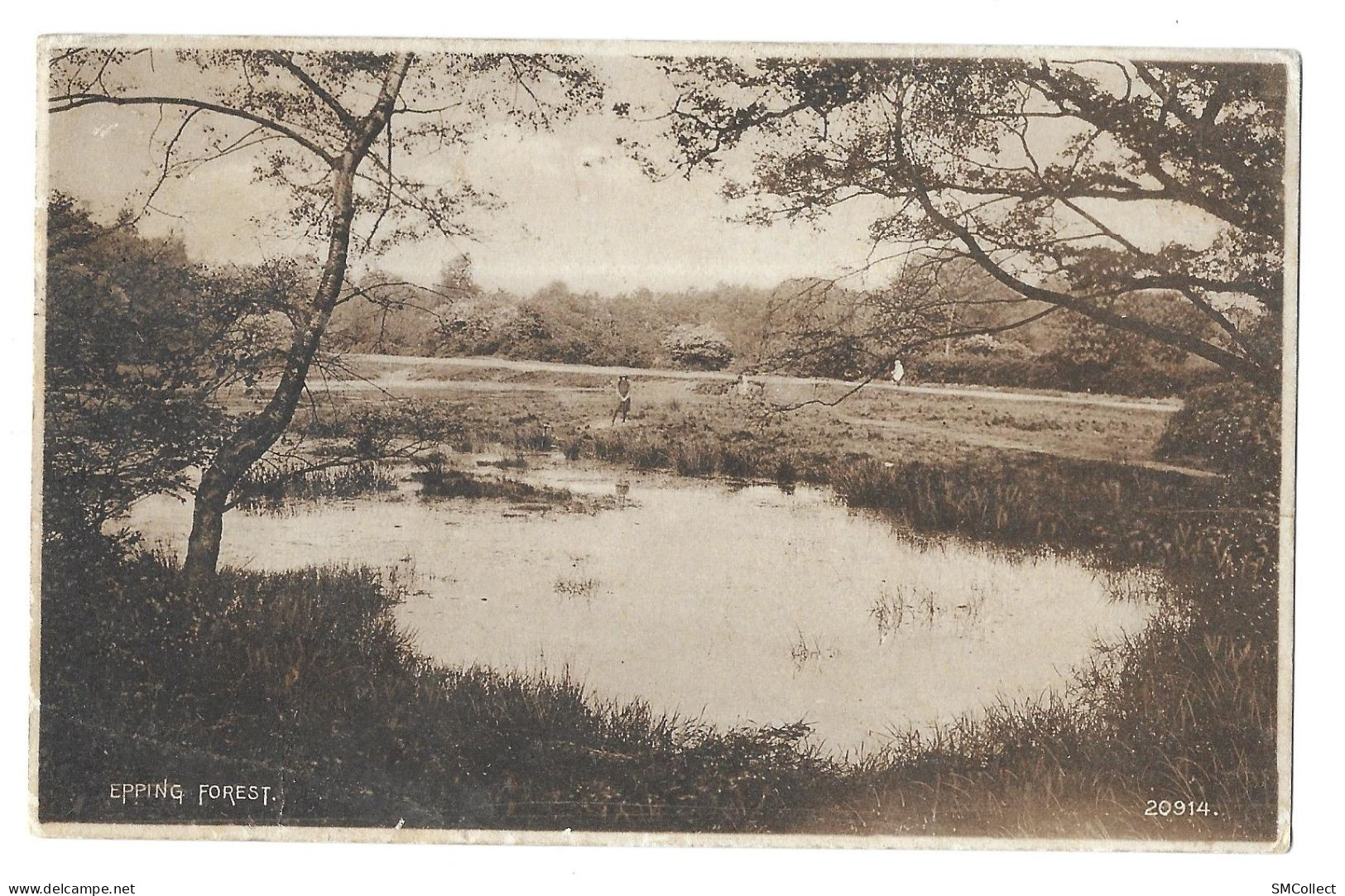 Epping Forest (A18p56) - Other & Unclassified