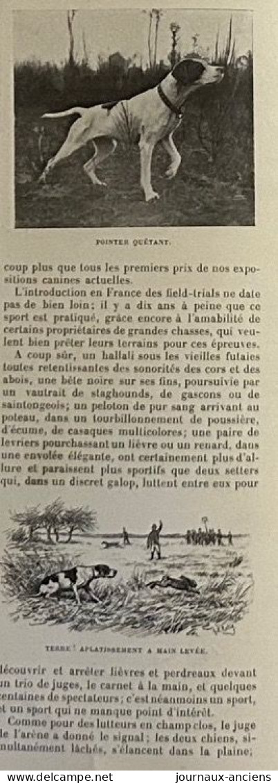 1898 CHIENS DE CHASSE - SPORT CYNÉGÉTIQUE : LES FIELD TRIALS - REVUE SPORTIVE LA VIE AU GRAND AIR - Riviste - Ante 1900