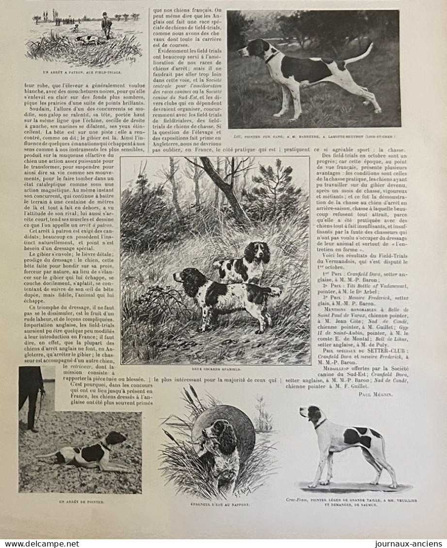 1898 CHIENS DE CHASSE - SPORT CYNÉGÉTIQUE : LES FIELD TRIALS - REVUE SPORTIVE LA VIE AU GRAND AIR - Zeitschriften - Vor 1900