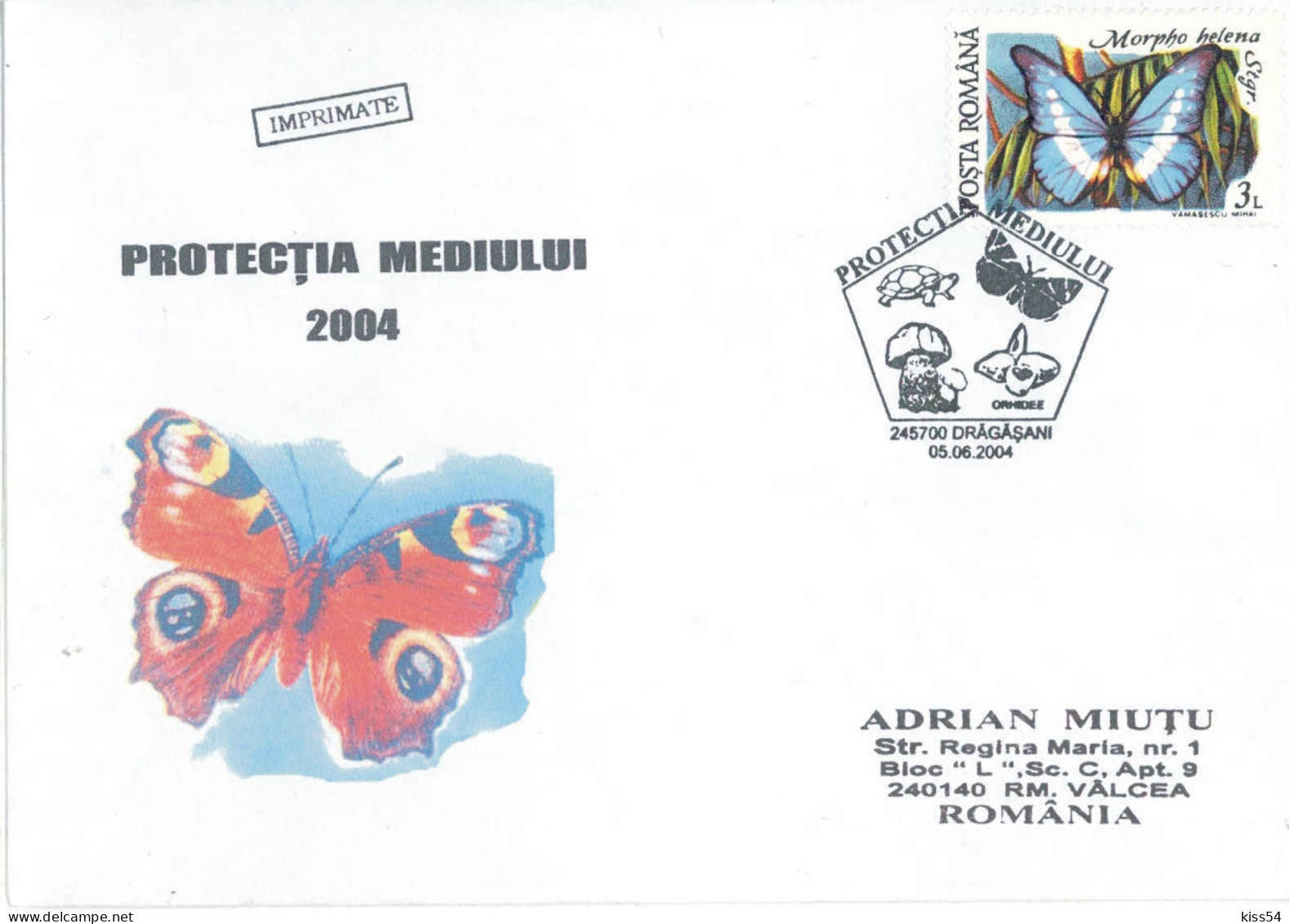 COV 97 - 602 BUTTERFLY, Romania - Cover - Used - 2004 - Schmetterlinge