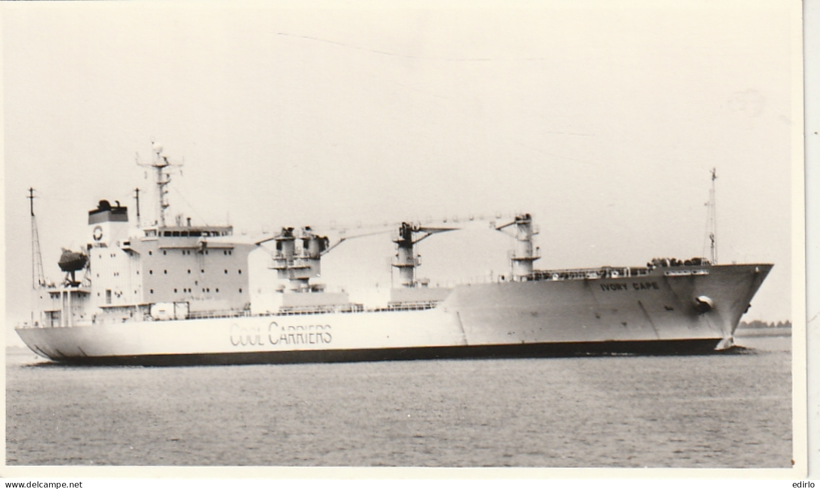 *** Bateau ***   IVORY CAP Photo Au Format Cpa Dté 1990 Avec Au Dos Manuscrit Caractéristiques Navire  - Koopvaardij