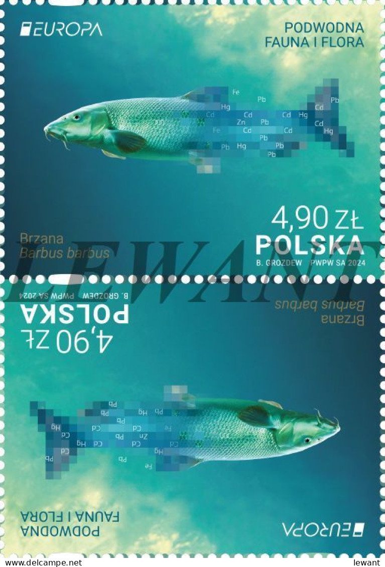 2024.04.25. Europe - Underwater Fauna And Flora - Common Barbel (Barbus Barbus) (tête-bêche) (3) - MNH - Ungebraucht