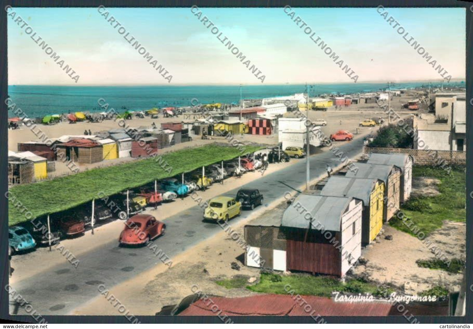 Viterbo Tarquinia Foto FG Cartolina ZF8579 - Viterbo