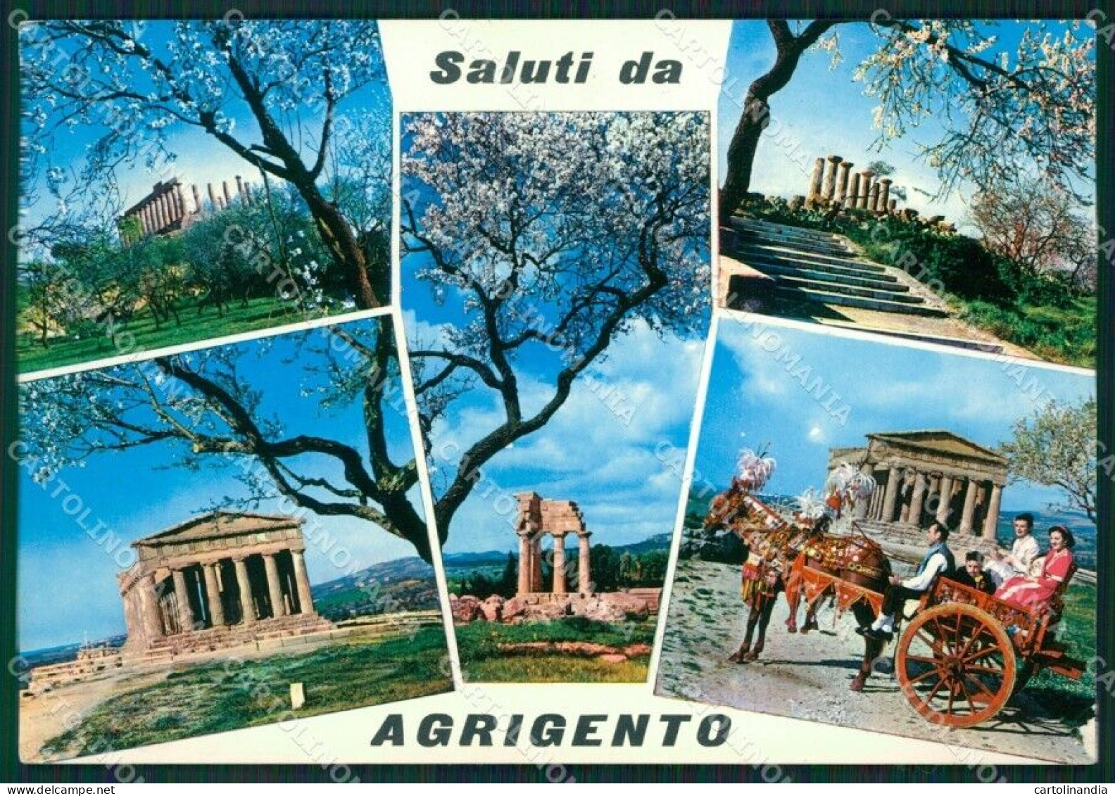 Agrigento Città Saluti Da Foto FG Cartolina ZKM7633 - Agrigento