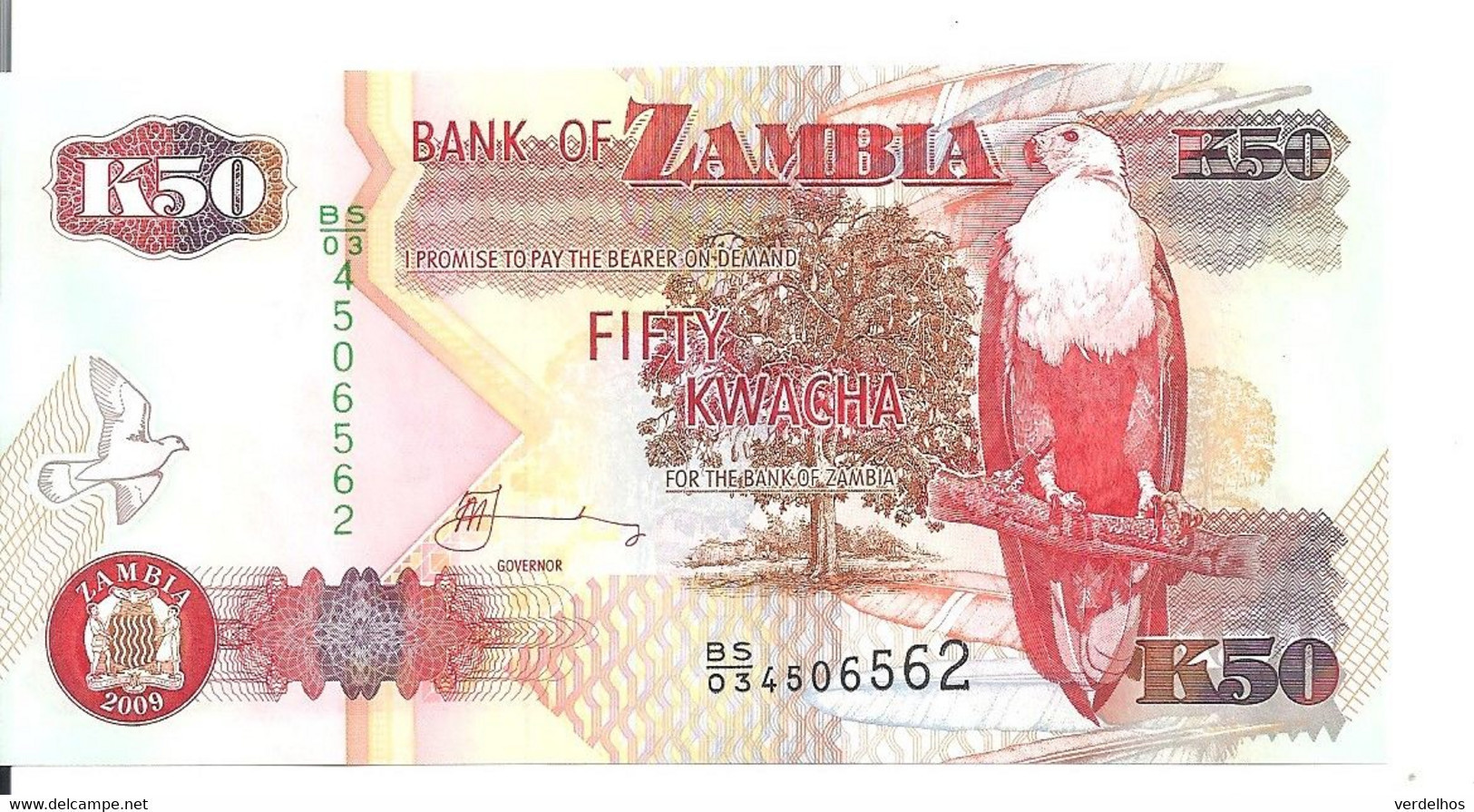 ZAMBIE 50 KWACHA 2009 UNC P 37 H - Zambie