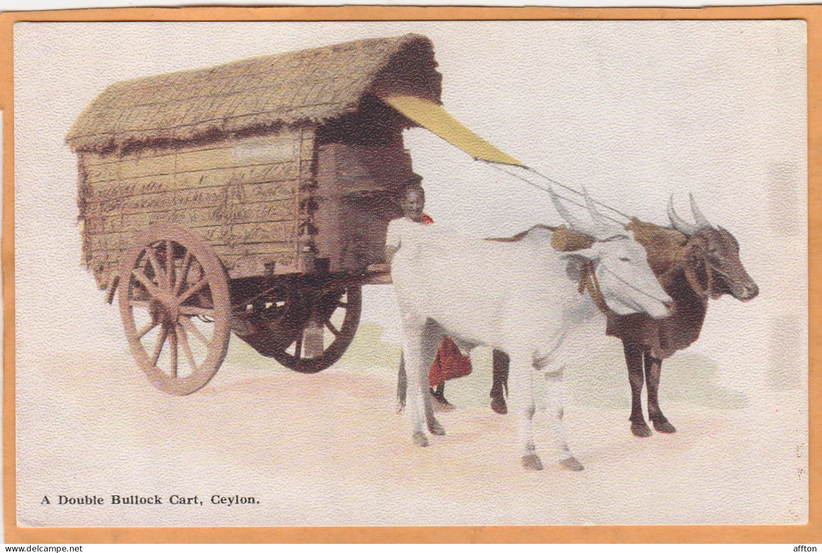 Sri Lanka Ceylon 1908 Postcard - Sri Lanka (Ceylon)