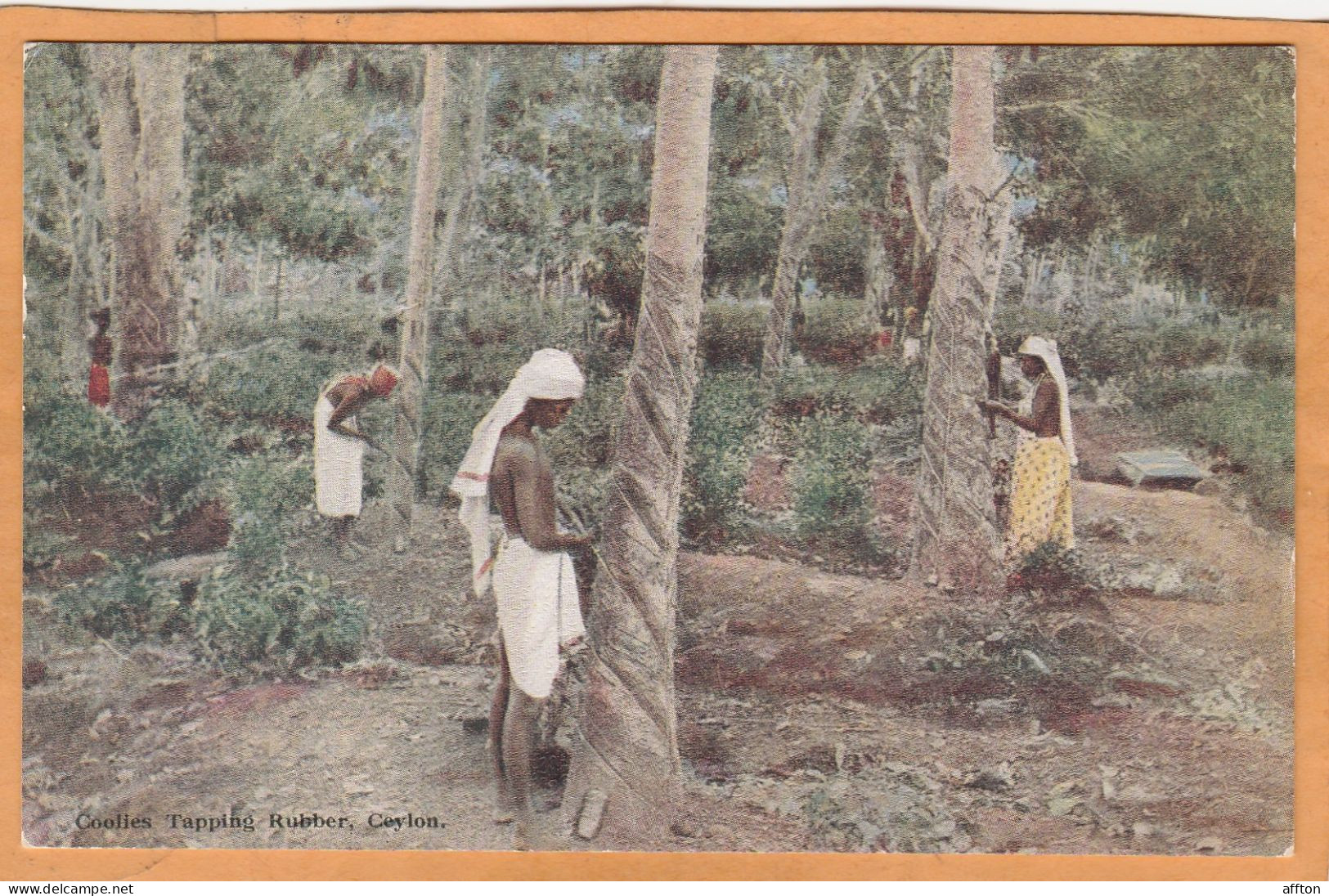 Sri Lanka Ceylon 1908 Postcard - Sri Lanka (Ceylon)