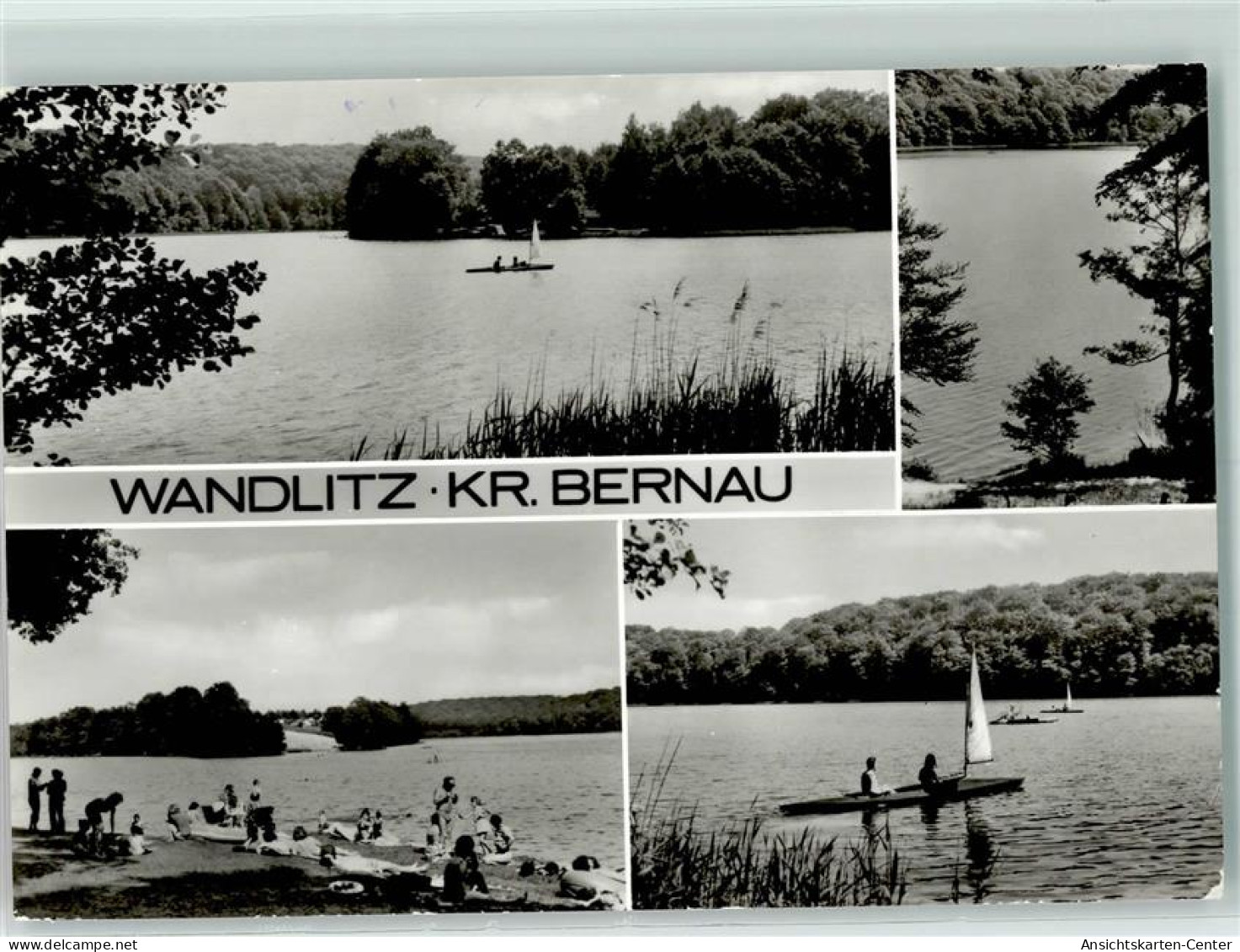 10248304 - Wandlitz - Wandlitz