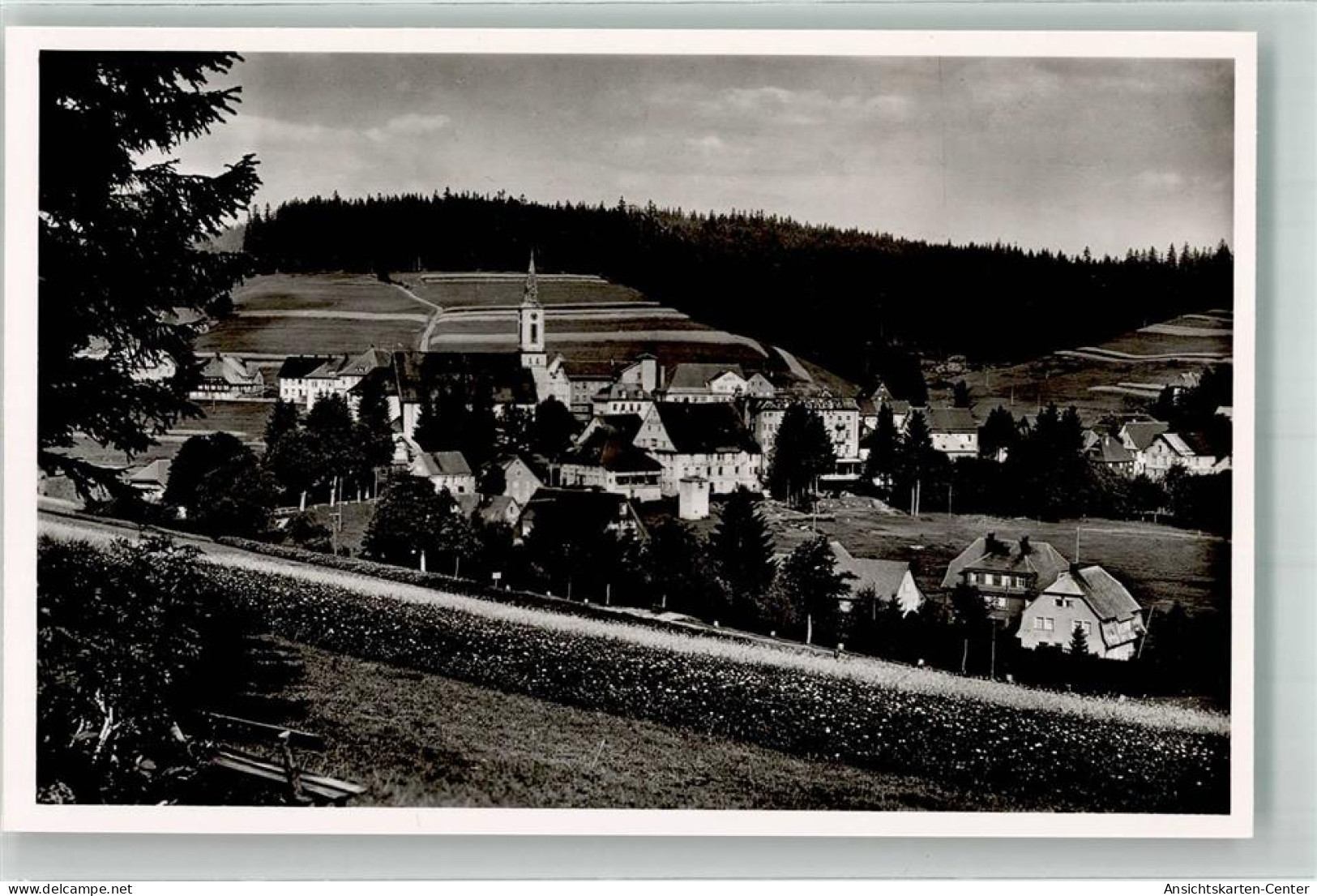 39854004 - Schoenwald Im Schwarzwald - Triberg