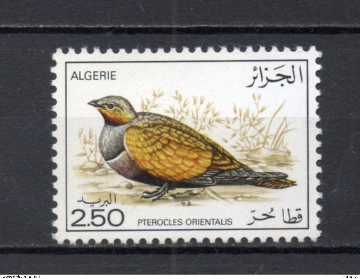 ALGERIE N° 638   NEUF SANS CHARNIERE COTE 5.00€   OISEAUX ANIMAUX FAUNE - Algerien (1962-...)