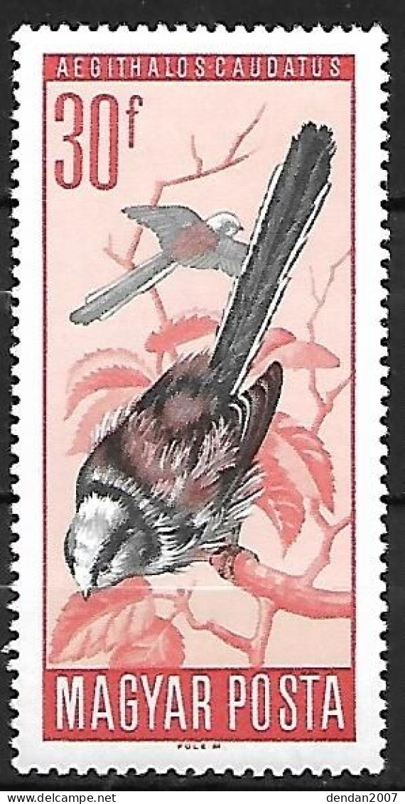 Hungary (Magyar) - MNH ** 1966 :   Long-tailed Tit  -  Aegithalos Caudatus - Uccelli Canterini Ed Arboricoli