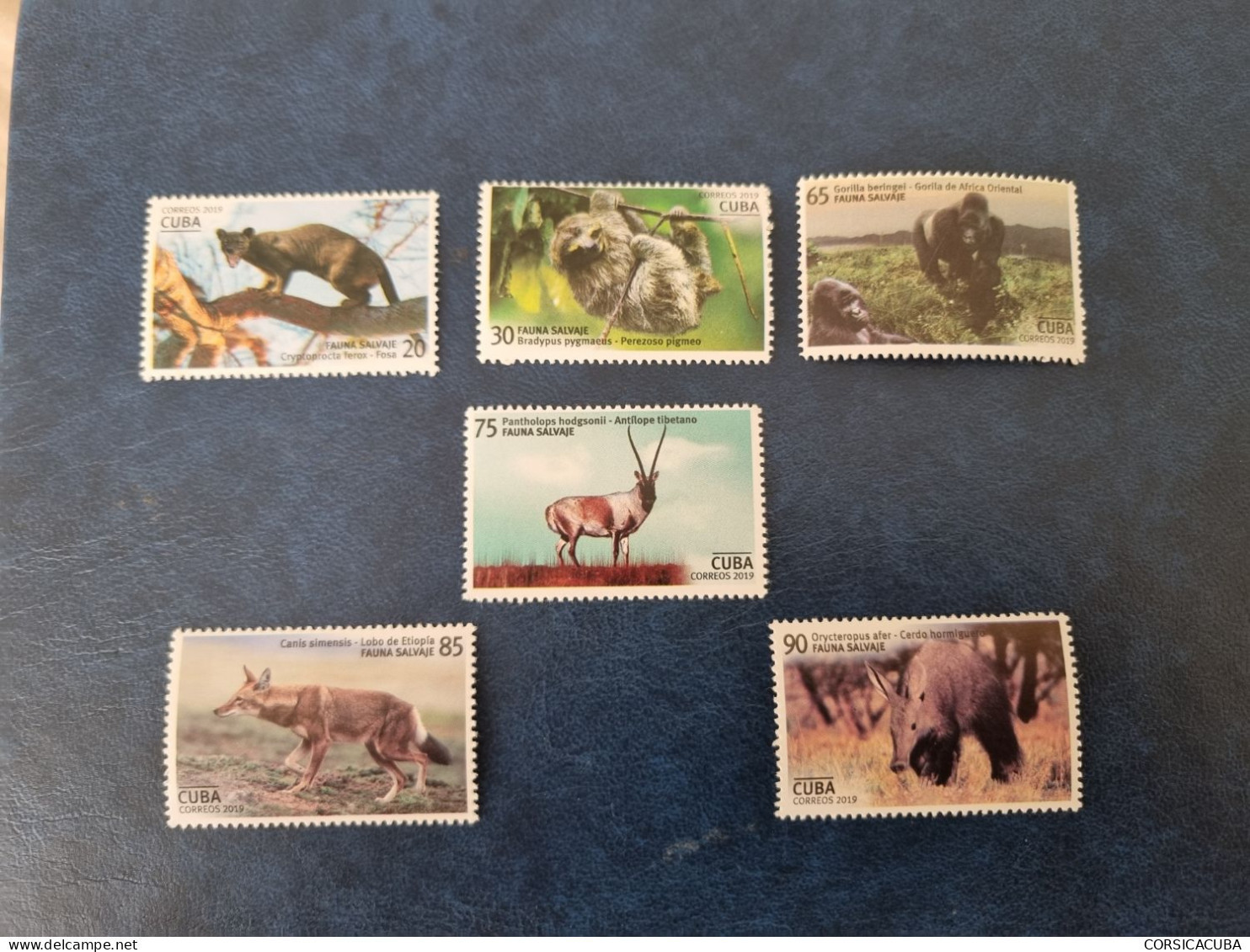 CUBA  NEUF   2019   FAUNA  SALVAJE   //  PARFAIT  ETAT  //  1er  CHOIX  // - Unused Stamps