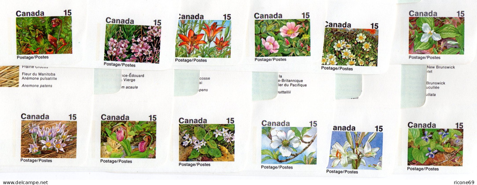 Kanada, Kpl. Serie V. 12 Ungebr. Blumen Aerogrammen (46-57, Postage/Postes) - Storia Postale