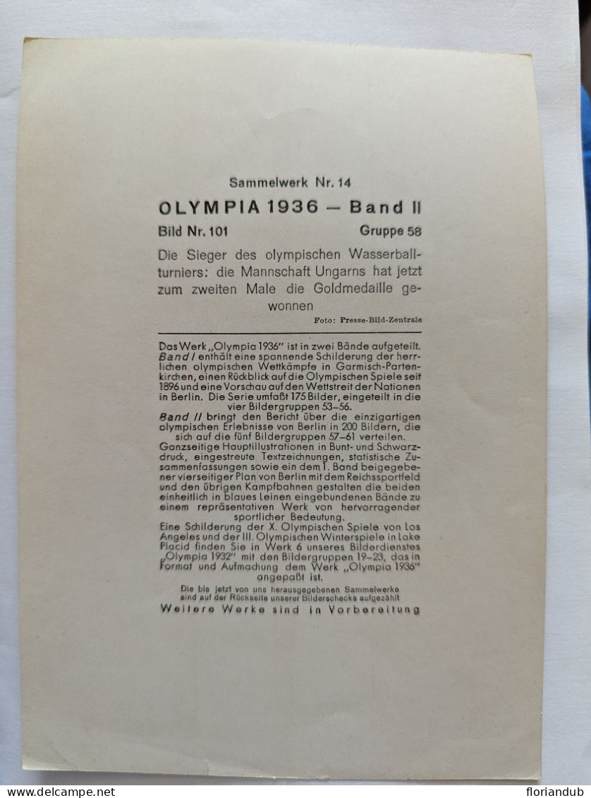 CP - Grand Format Sammelwerk 13 Olympia 1936 Bild 101 Gruppe 58 Natation - Jeux Olympiques