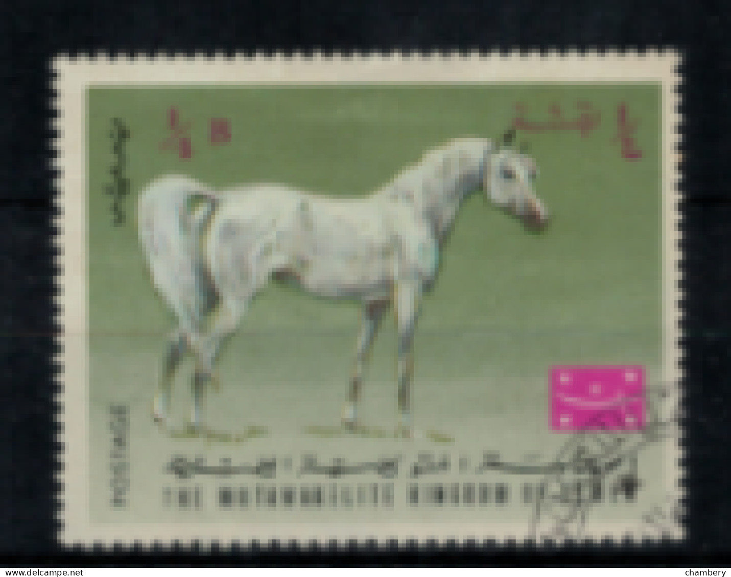 Yémen - "Chevaux Divers" - Oblitéré N° 250(a) De 1967 - Yemen