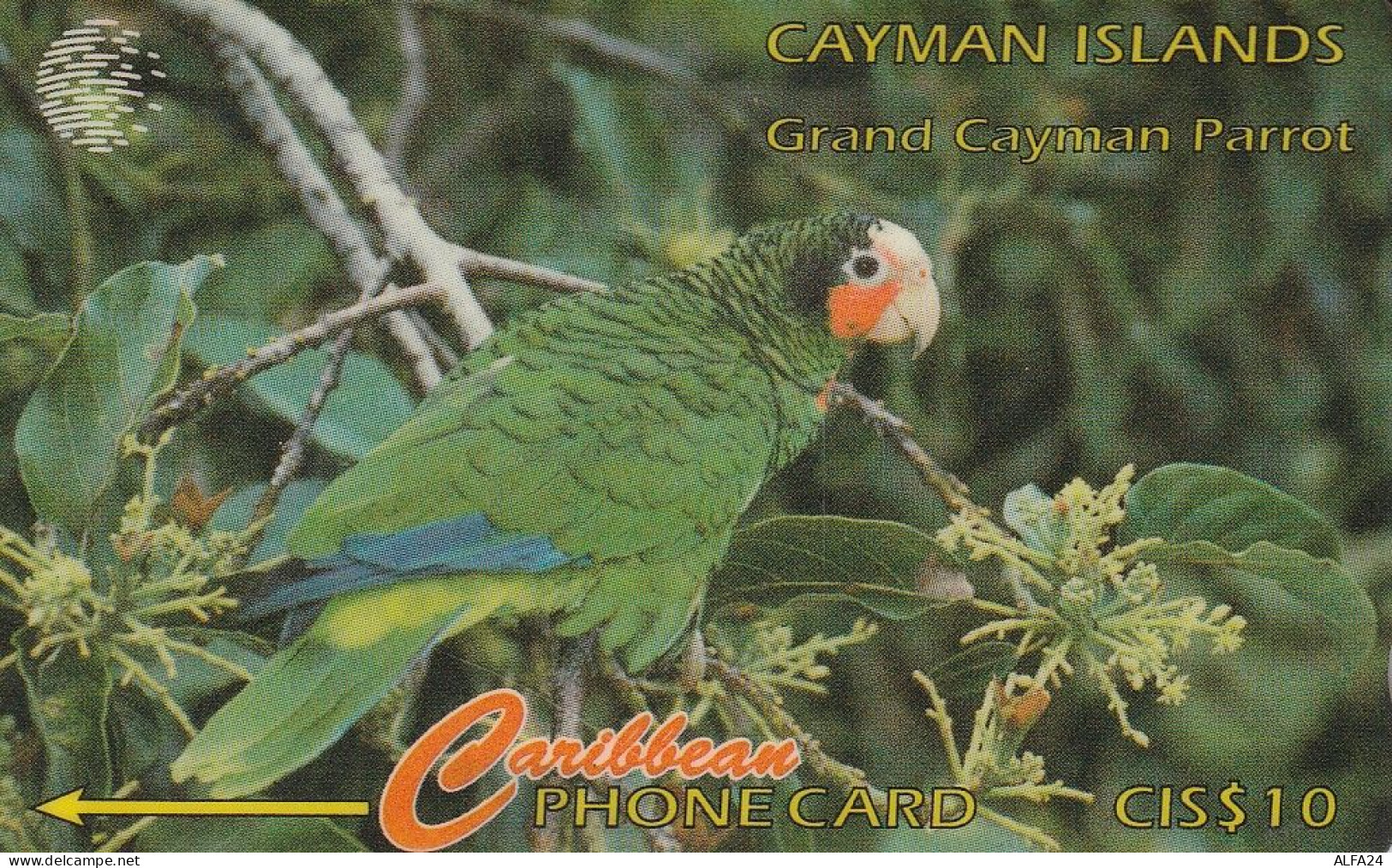 PHONE CARD CAYMAN ISLAND  (E83.20.6 - Isole Caiman