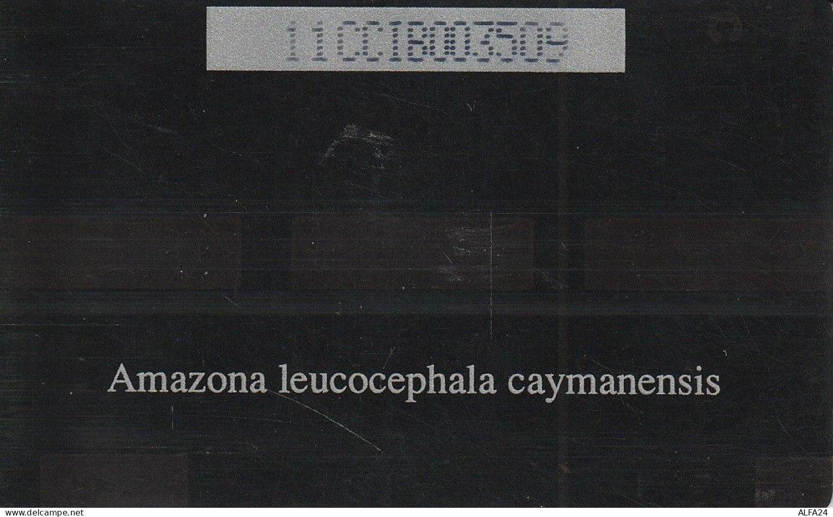 PHONE CARD CAYMAN ISLAND  (E83.20.6 - Kaimaninseln (Cayman I.)