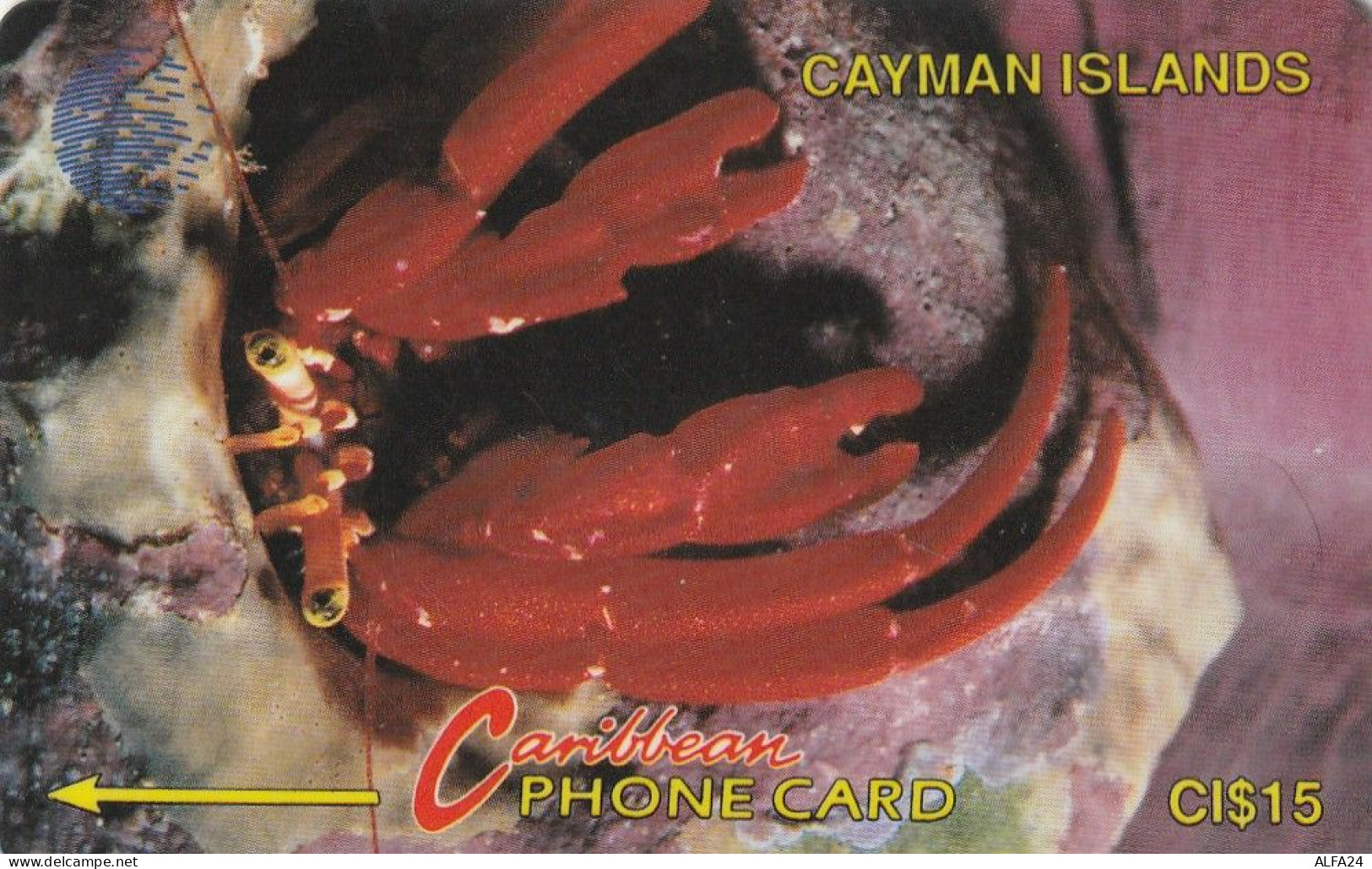 PHONE CARD CAYMAN ISLAND  (E83.24.4 - Isole Caiman