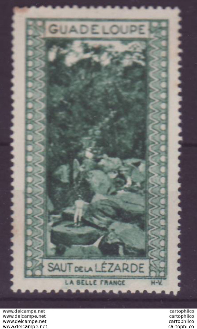 Vignette ** Guadeloupe Saut De La Lezarde - Unused Stamps