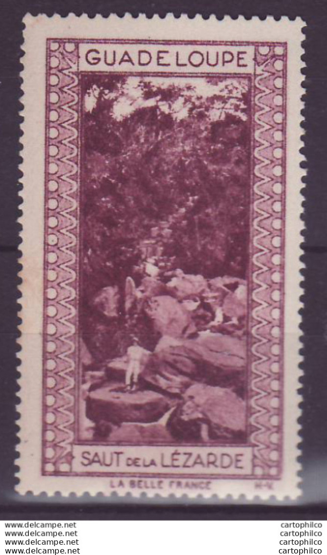 Vignette ** Guadeloupe Saut De La Lezarde - Unused Stamps
