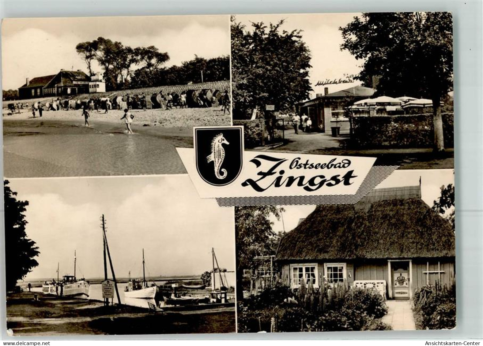 39464604 - Zingst , Ostseebad - Zingst