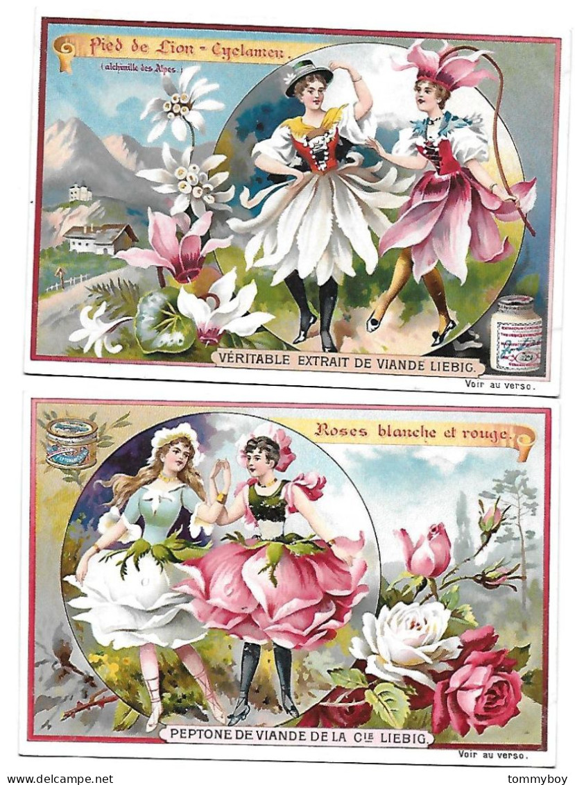 S 556, Liebig 6 Cards, Fleurs Et Femmes - Liebig