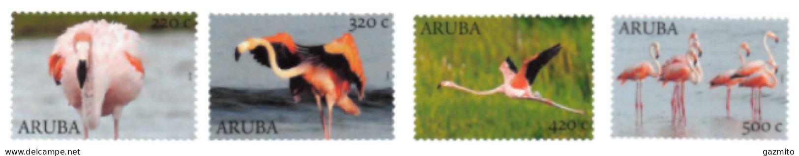 Aruba 2022, Flamingoes, 4val - Curacao, Netherlands Antilles, Aruba