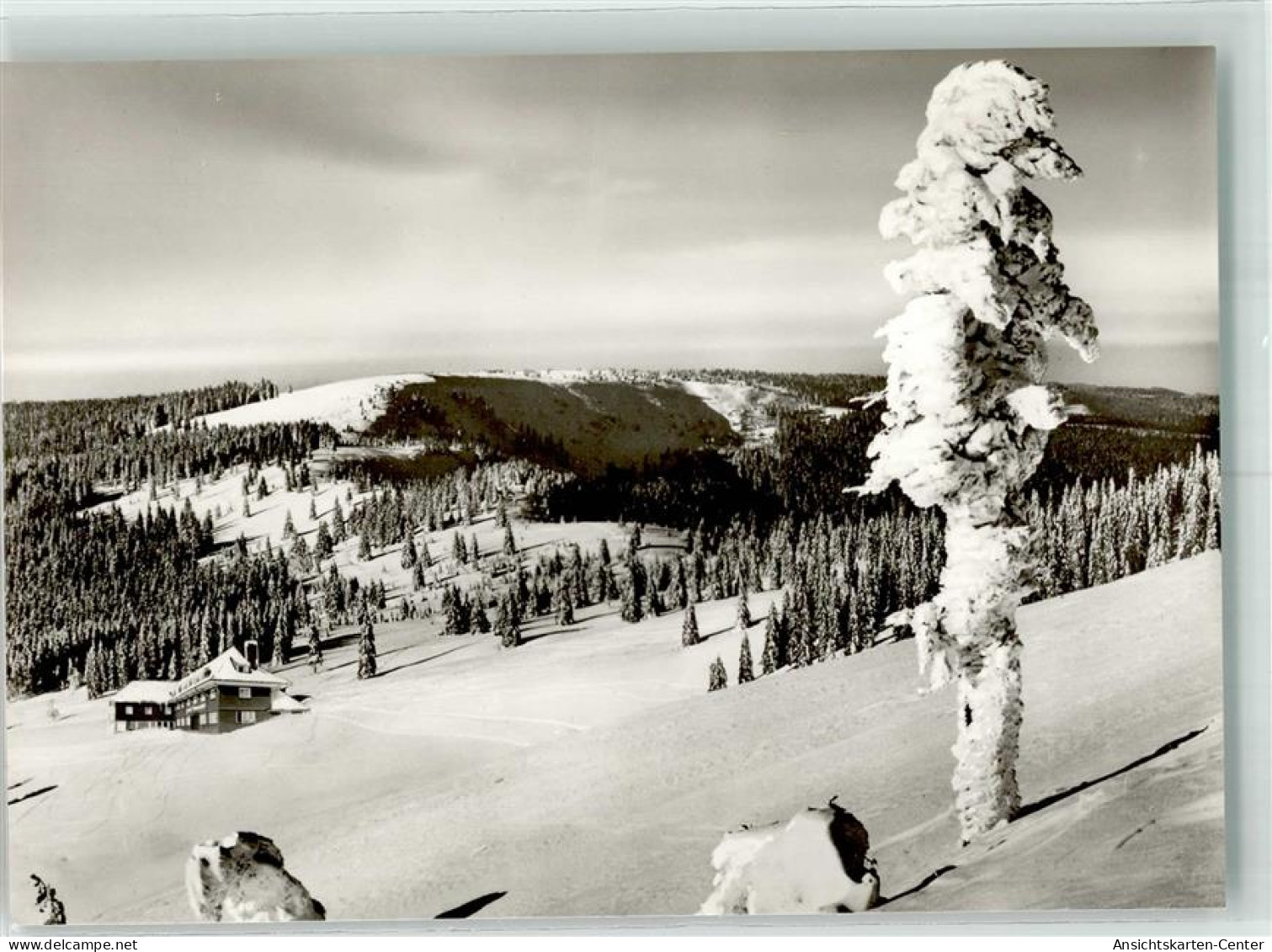 39773904 - Feldberg , Schwarzwald - Feldberg