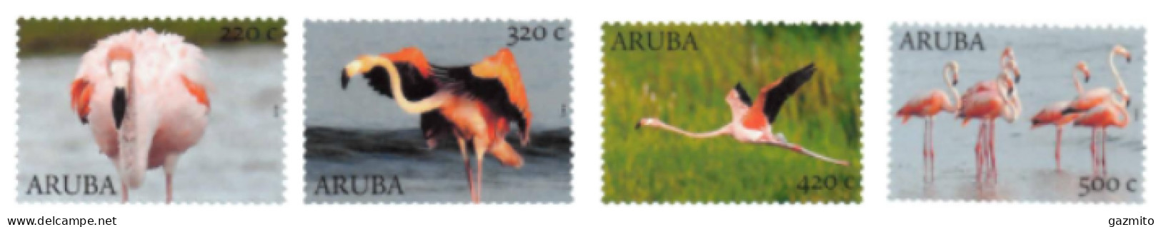 Aruba 2022, Flamingoes, 4val - Flamants