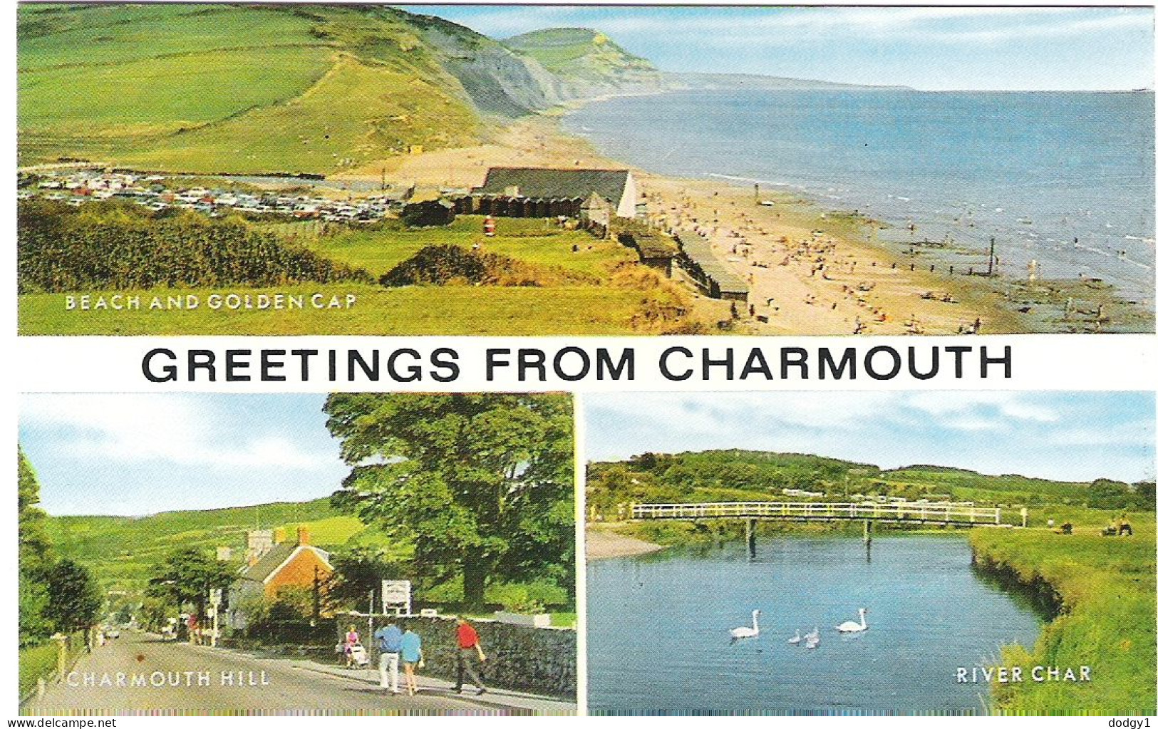 SCENES FROM CHARMOUTH, DORSET, ENGLAND. UNUSED POSTCARD Mm5 - Andere & Zonder Classificatie