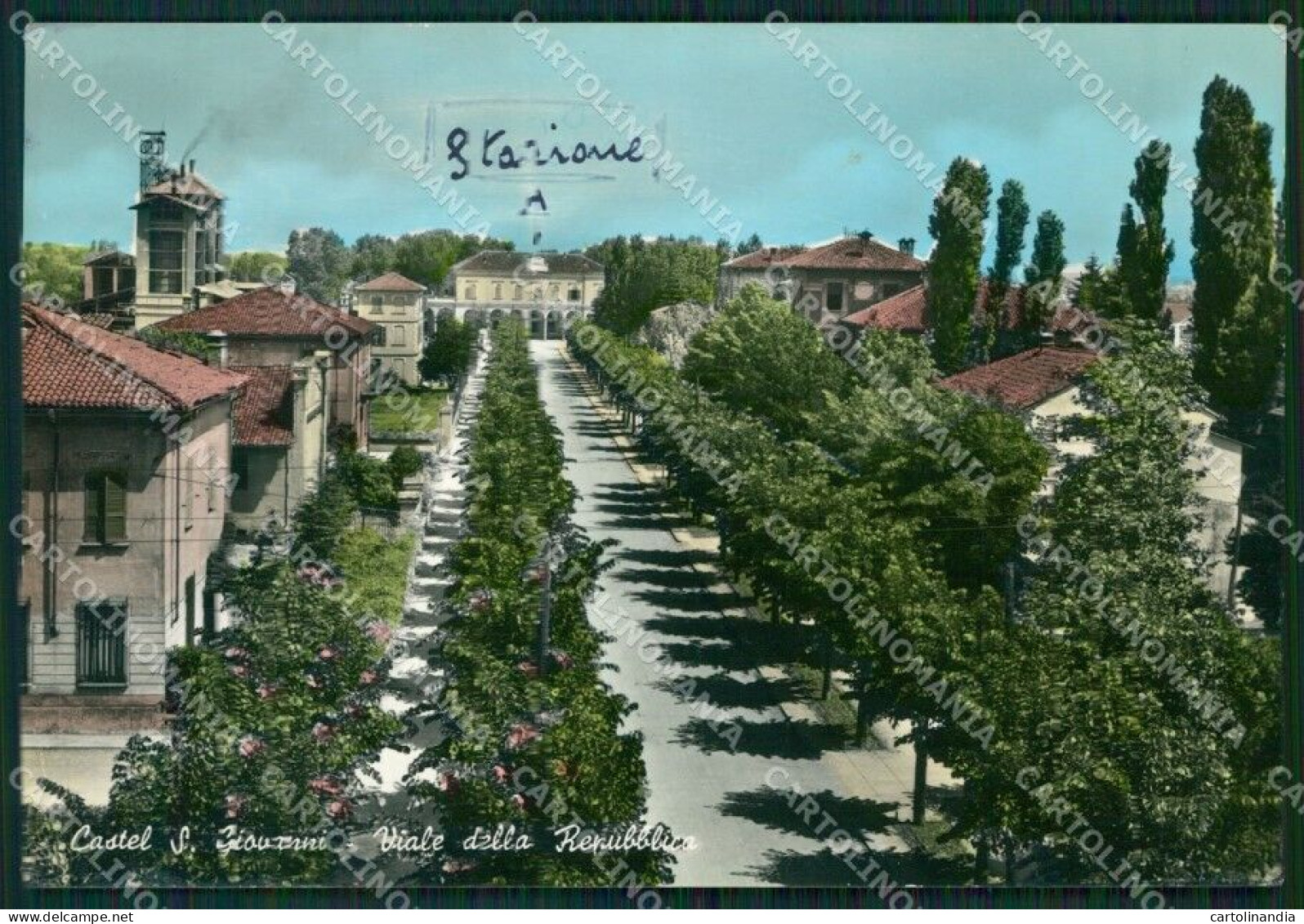 Piacenza Castel San Giovanni PIEGHINA Foto FG Cartolina ZKM8438 - Piacenza