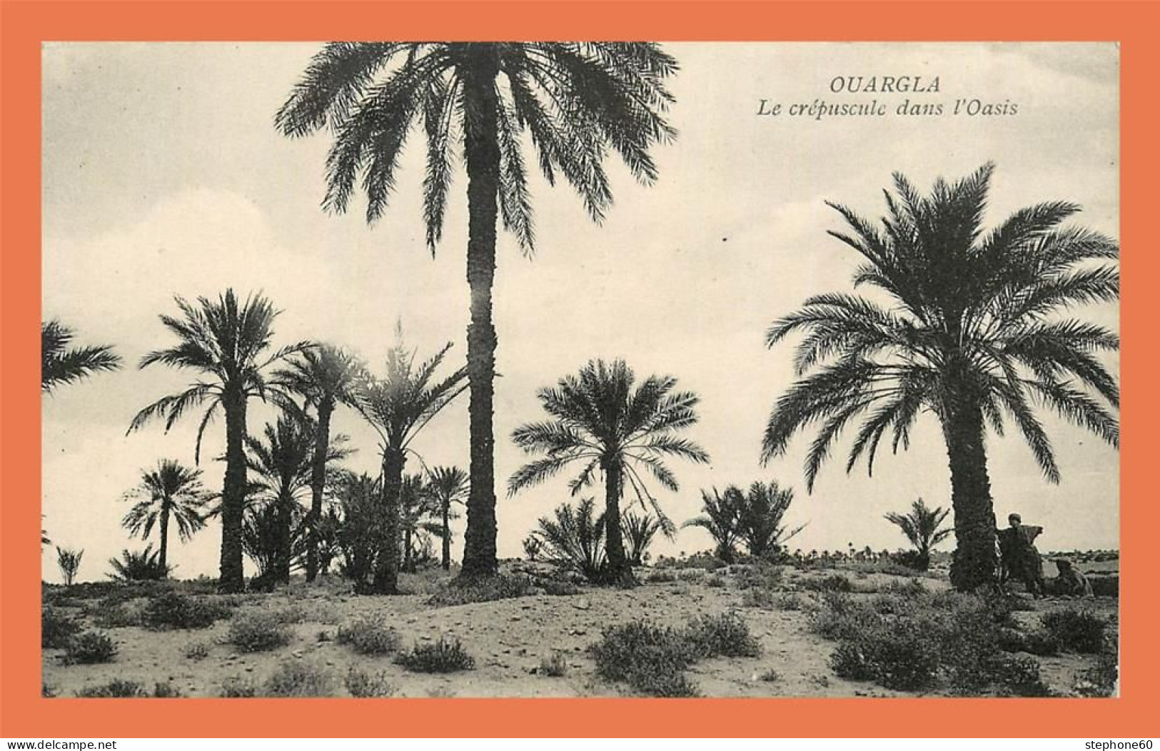 A721 / 305 Algérie OUARGLA Crépuscule Dans L'oasis - Ouargla