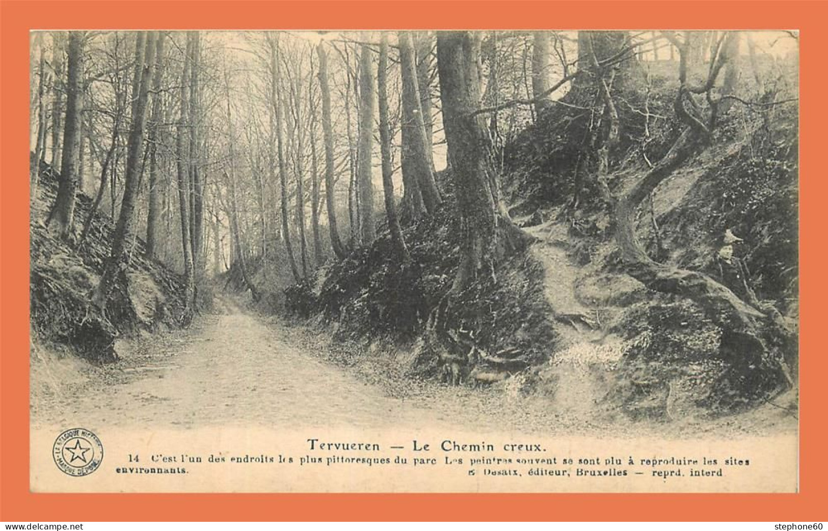 A723 / 141 TERVUREN TERVUEREN Le Chemin Creux - Tervuren